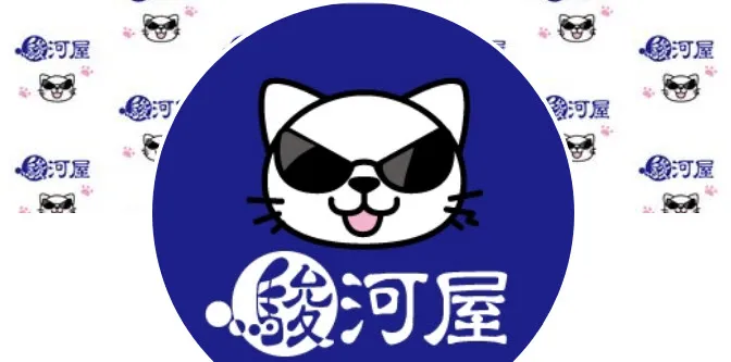 ff41surugayanews02