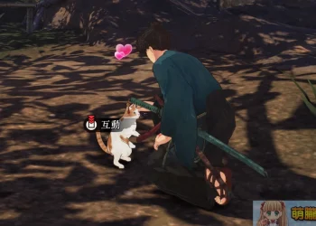擼貓狗能回血是真的   類無雙動作遊戲《Fate/Samurai Remnant》 史實背景中的經典型月世界