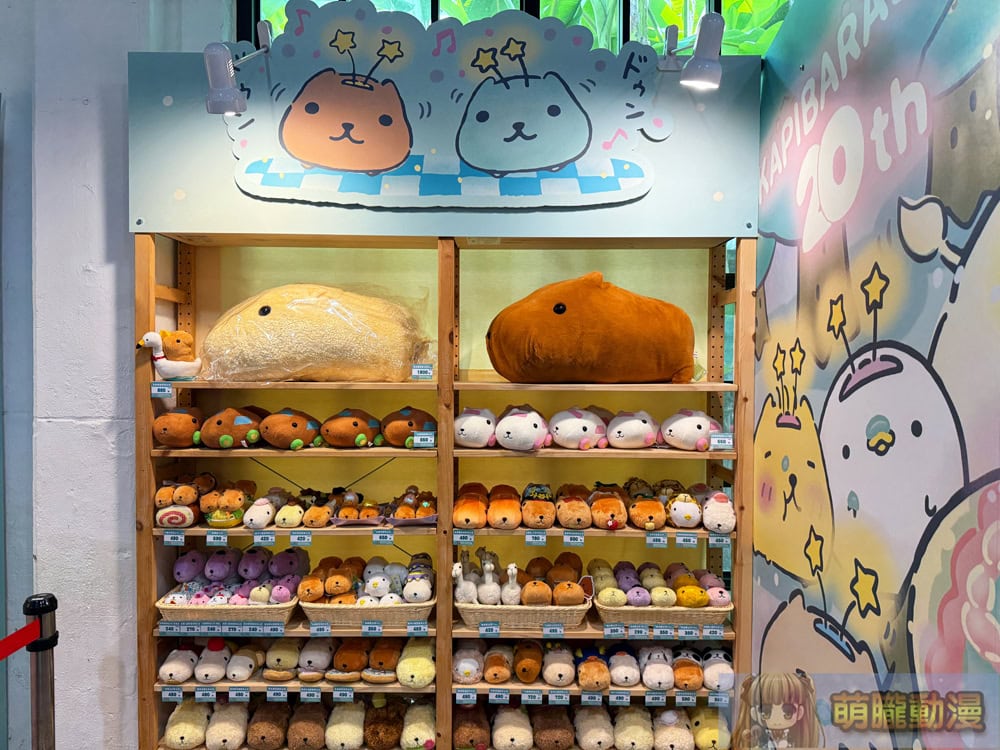 2025junekapibarasanhuashan1914event06