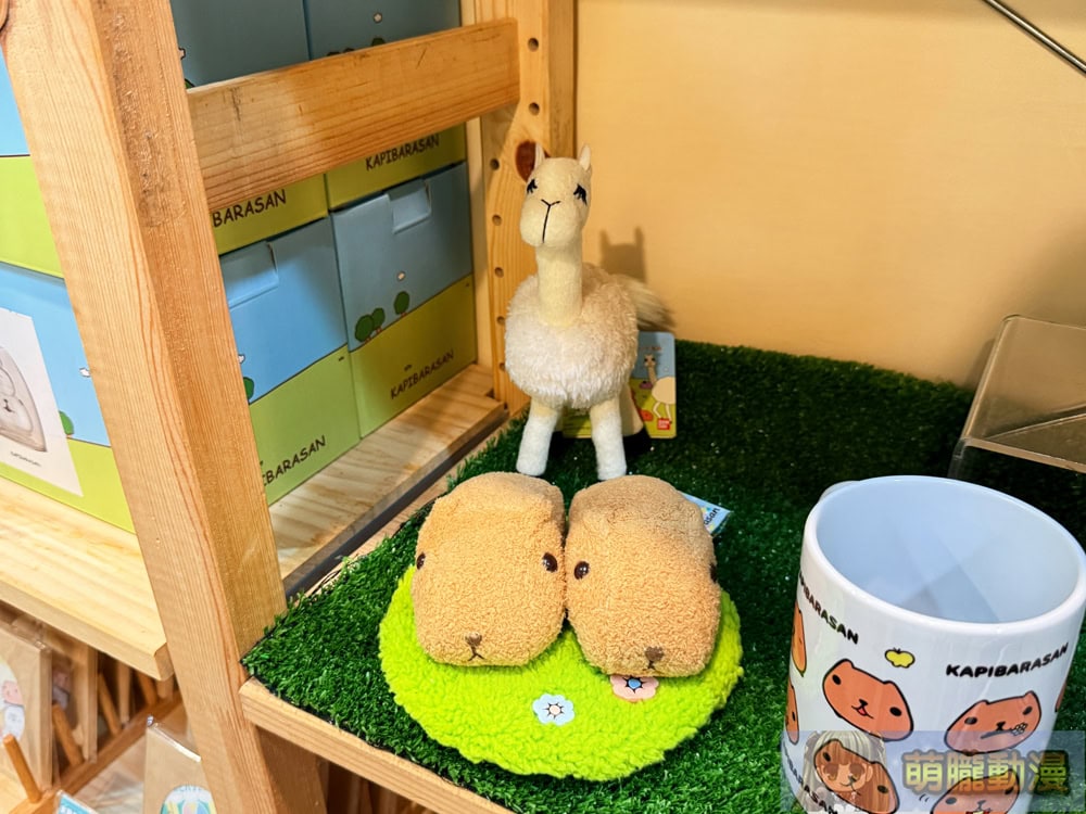 2025junekapibarasanhuashan1914event09