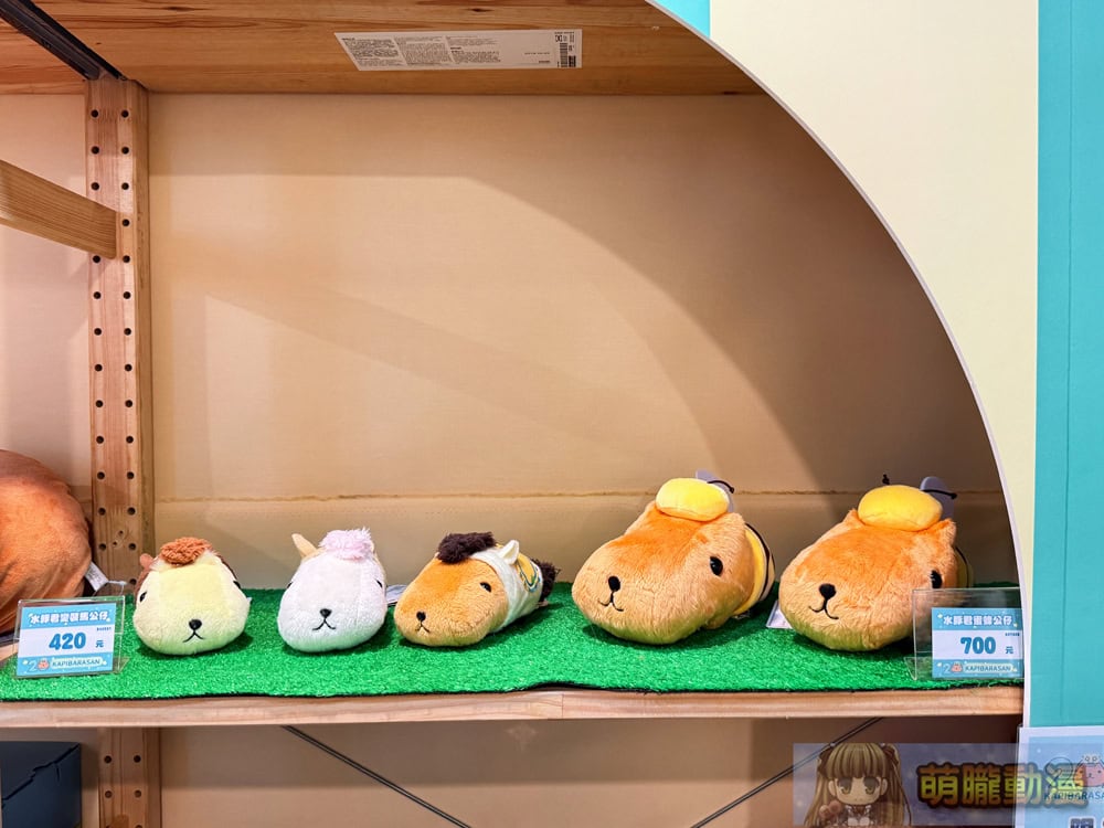 2025junekapibarasanhuashan1914event10