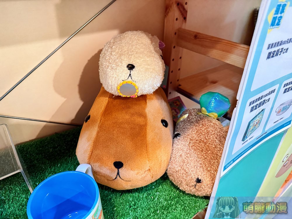 2025junekapibarasanhuashan1914event13