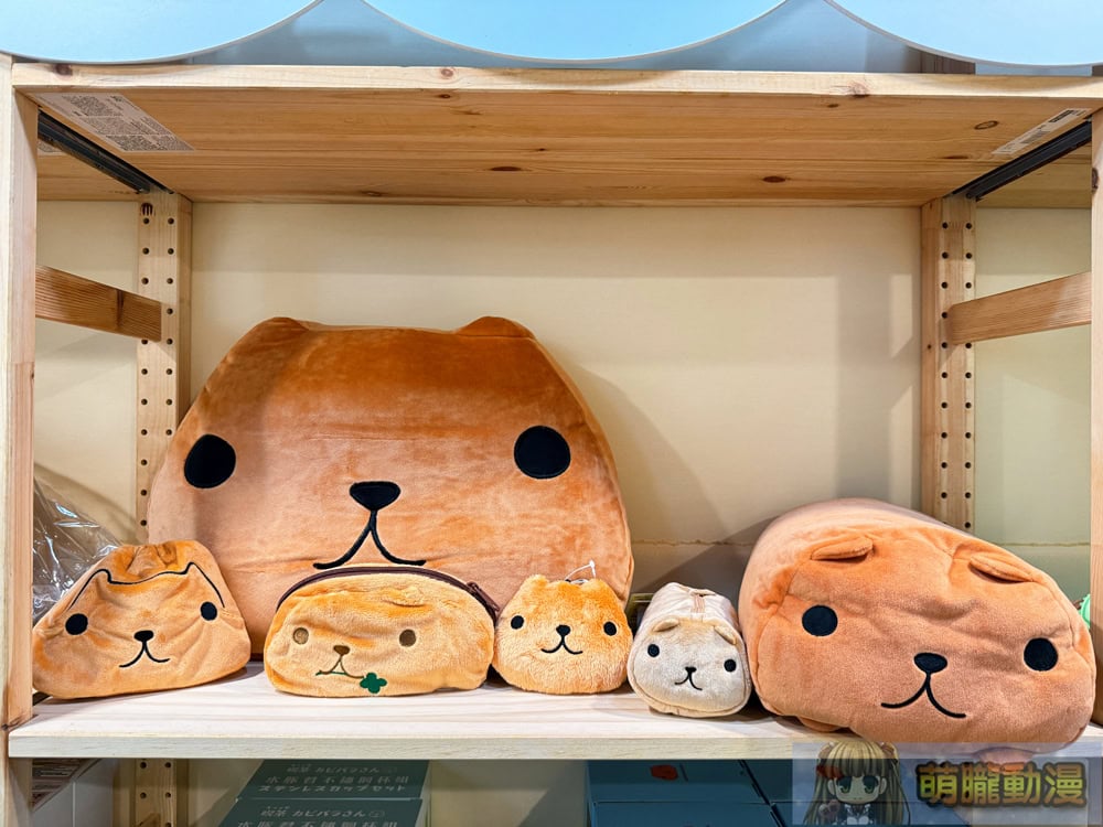 2025junekapibarasanhuashan1914event16