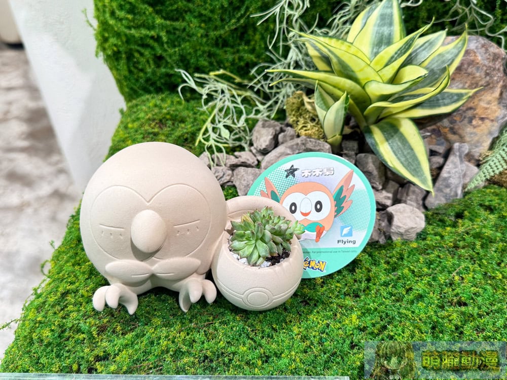 2025succulandtwpokemongoods04