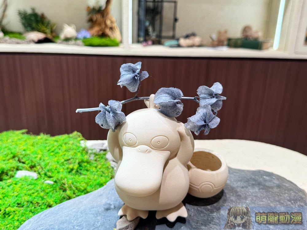 2025succulandtwpokemongoods06