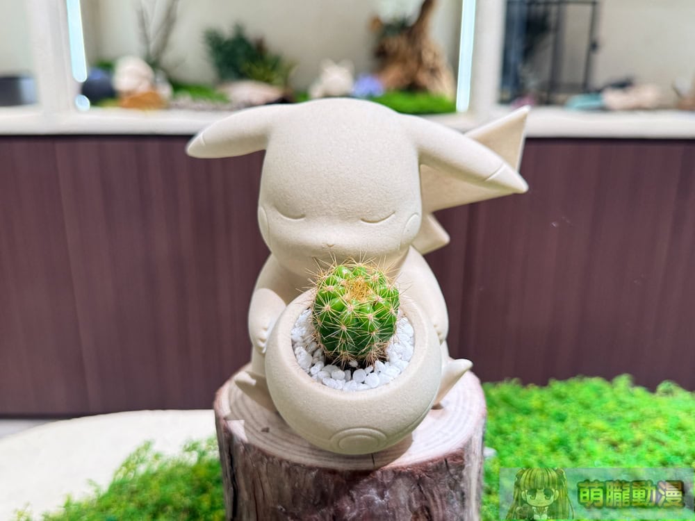 2025succulandtwpokemongoods08