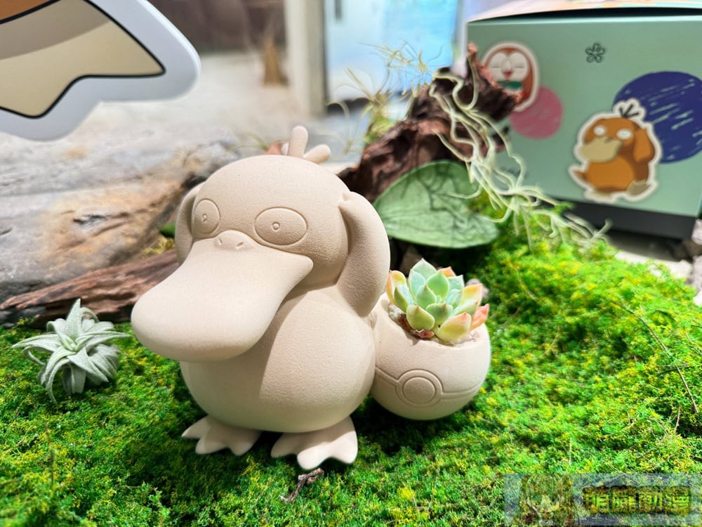 2025succulandtwpokemongoods11