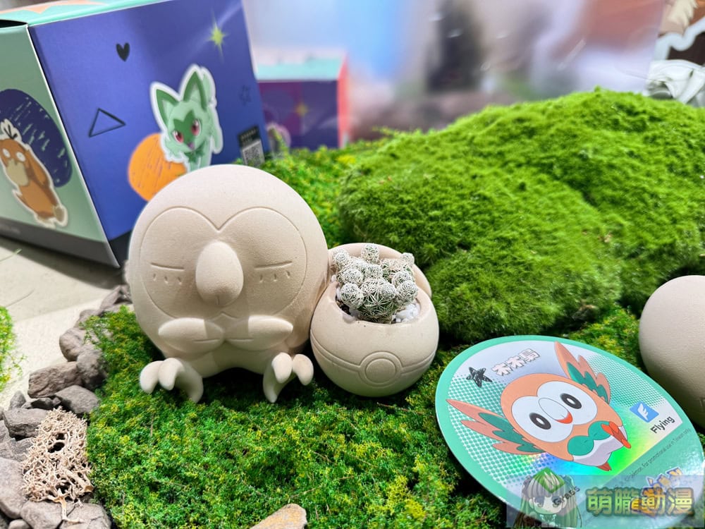 2025succulandtwpokemongoods12