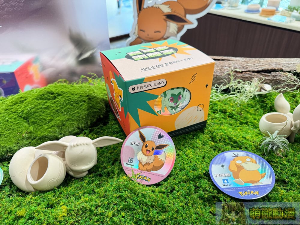2025succulandtwpokemongoods13
