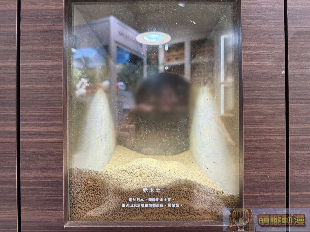 2025succulandtwpokemongoods17