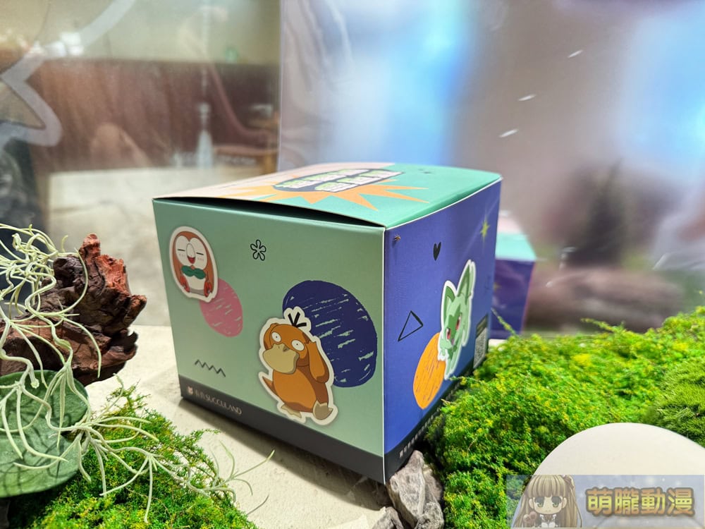 2025succulandtwpokemongoods19