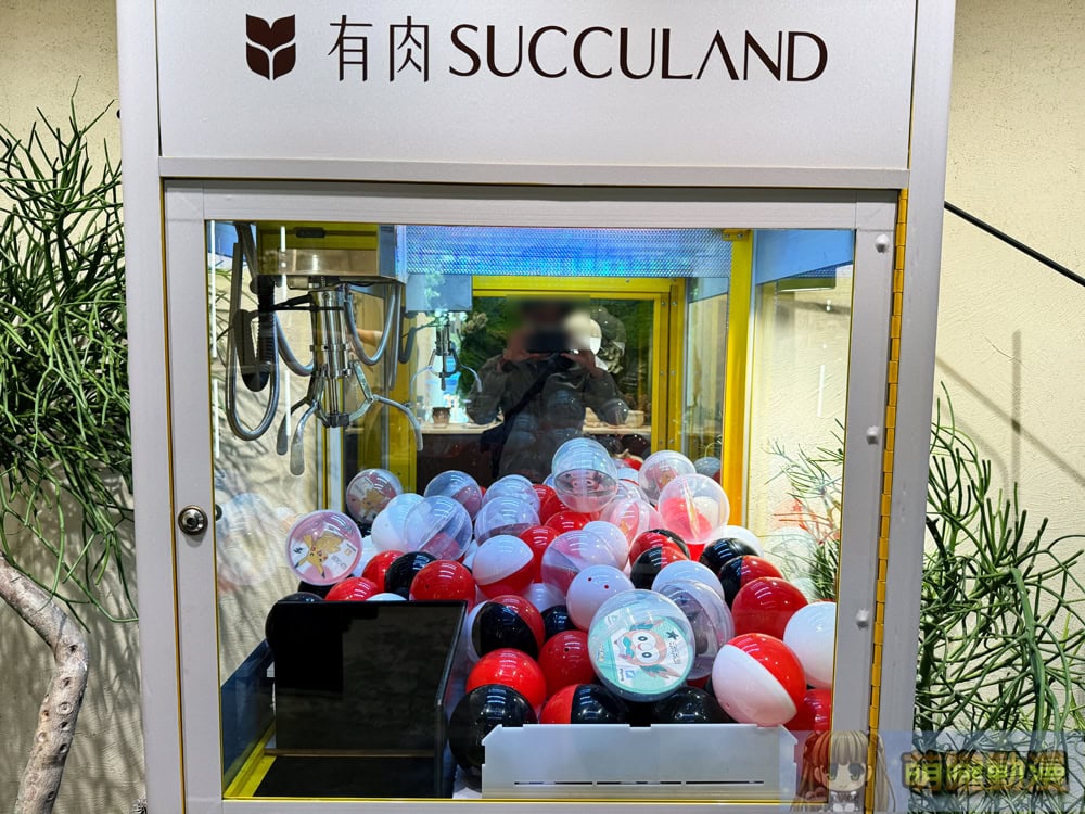 2025succulandtwpokemongoods20