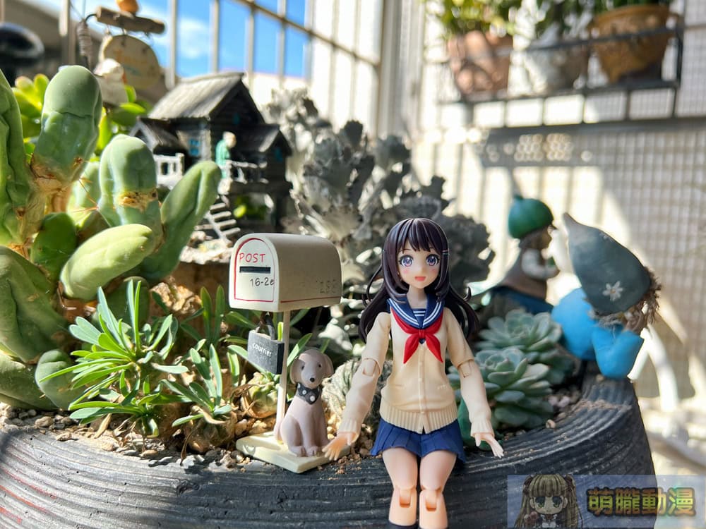 2025succulandtwpokemongoods29