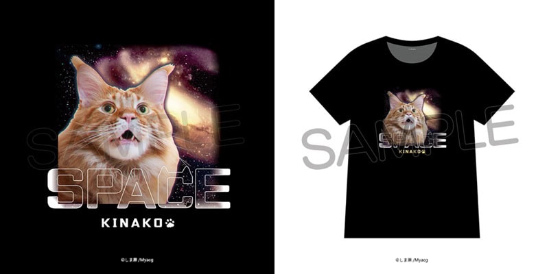 2025ccpamyacgprologue02