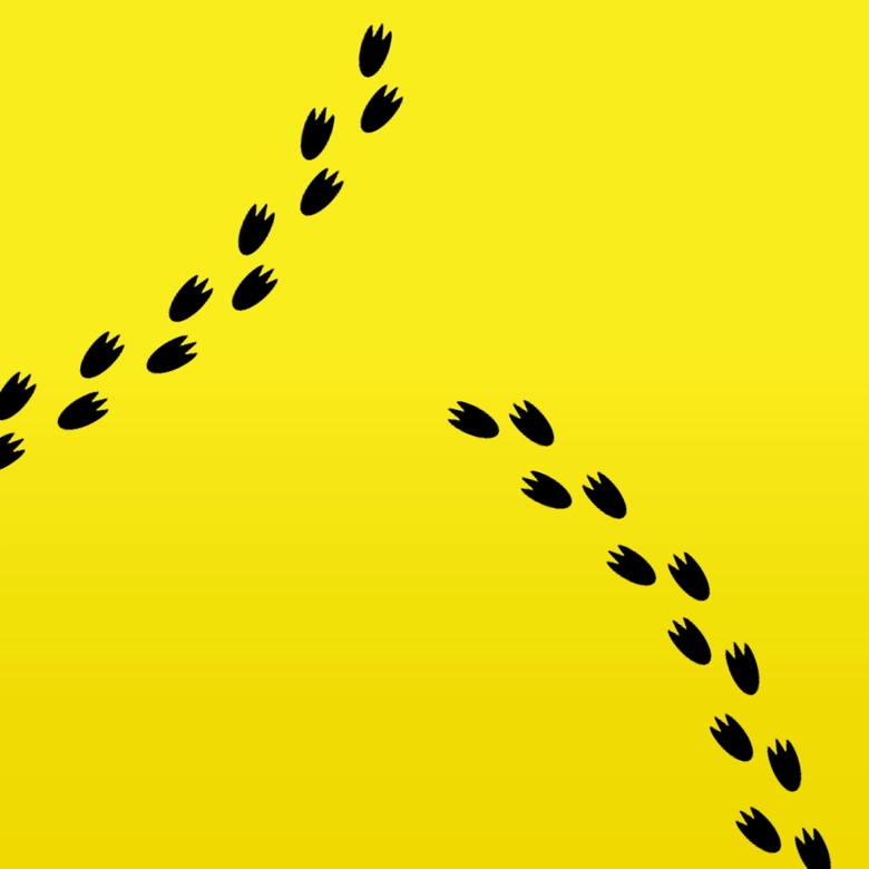 2025sushirotwpokemonprologue01