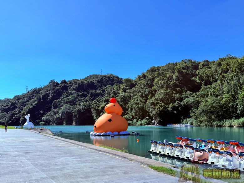 2025octnewtaipeicitykapibarasan02