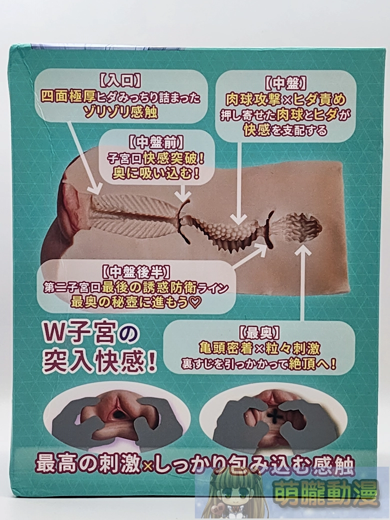 2026febogcmionkokomotest04