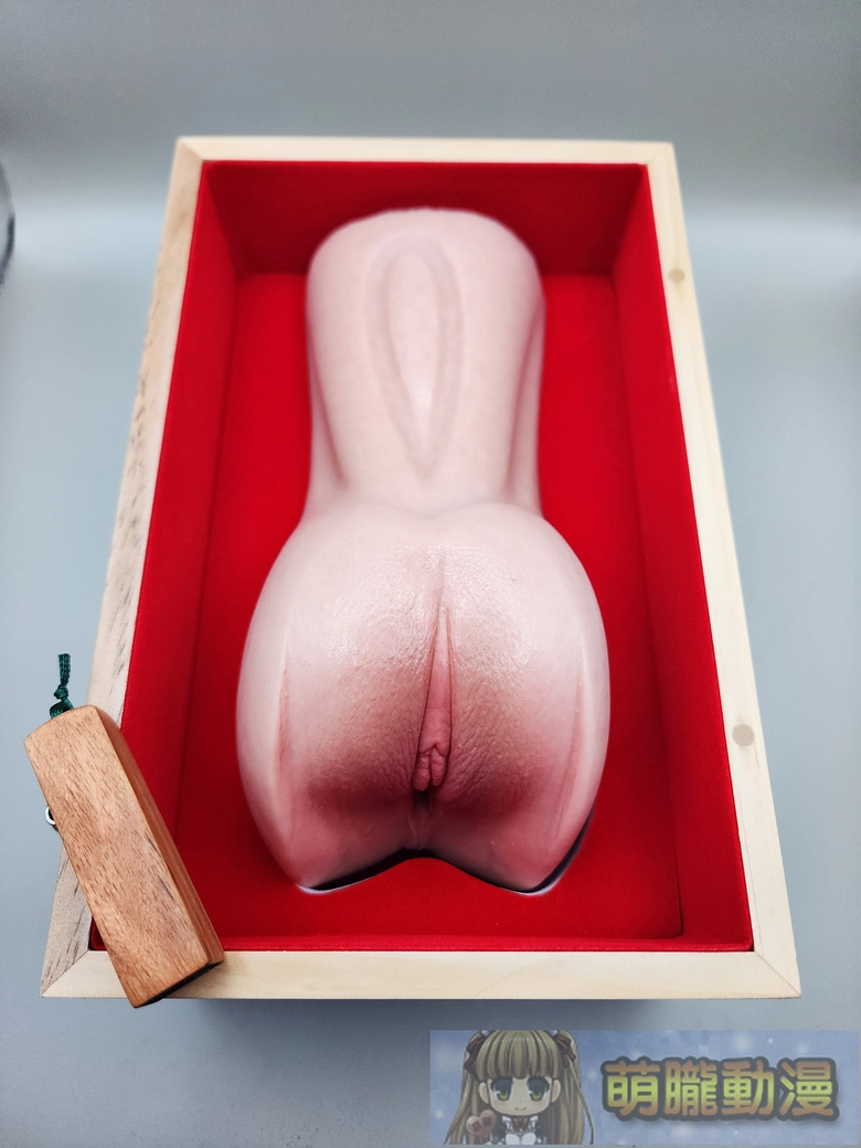 2026maydptoysdaiyinnjoutest13