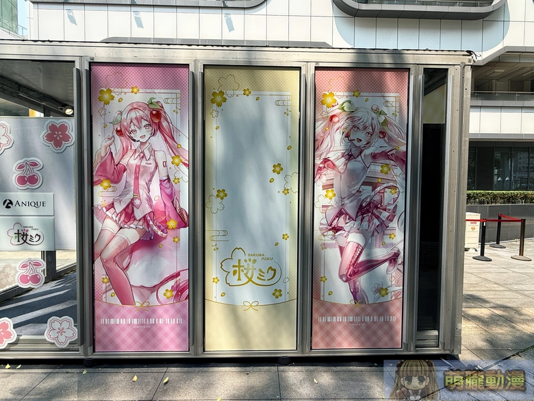 2026aprilaniqueSakuraMikutaipeipopevent03