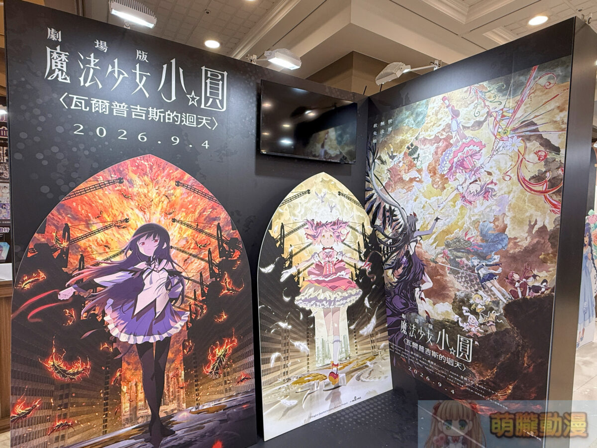 IMG 9172